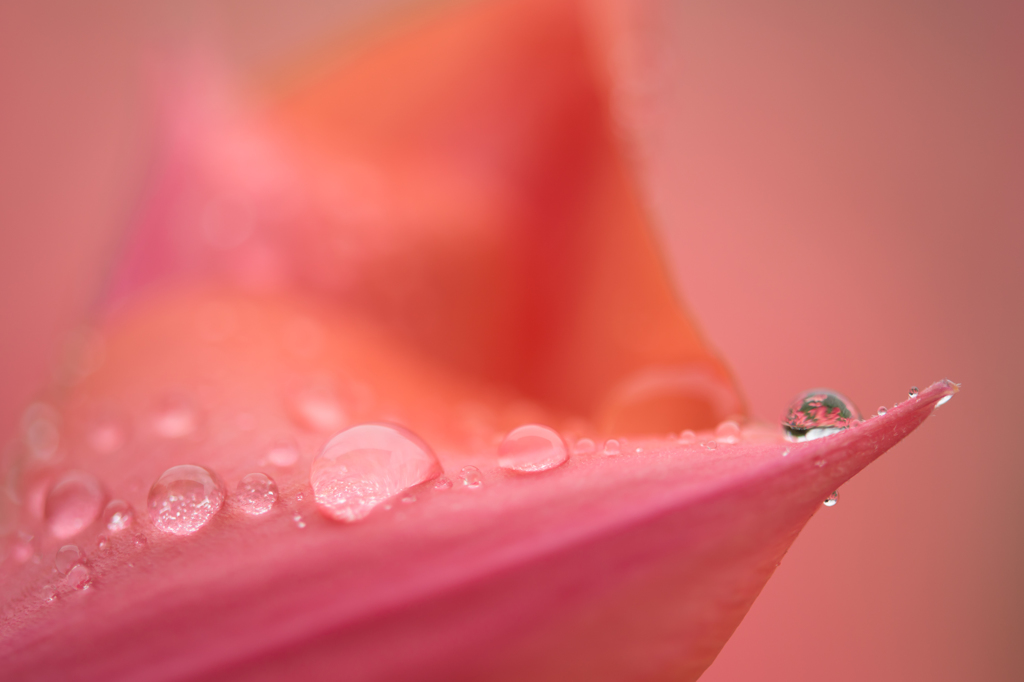 Drop of water