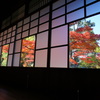 六華苑の紅葉＊