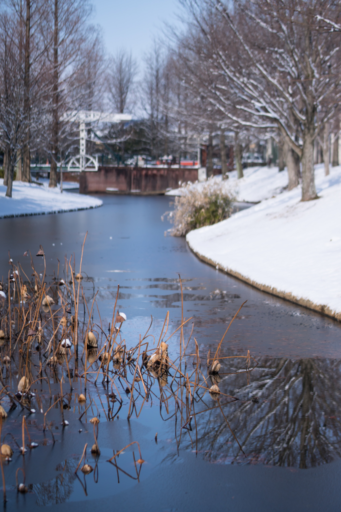 Park of snow
