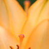 。＊ぬくもり*＊