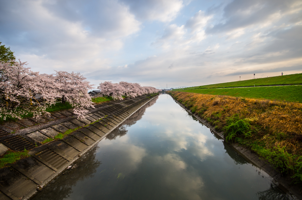 春の景色