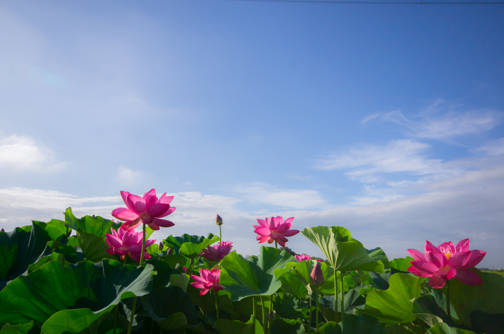 空を見つめて...♡