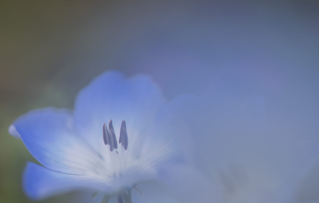 blue..