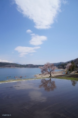青空の青木湖