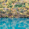 Blue and autumn leaves