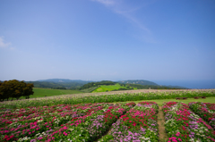 夏の淡路～＊