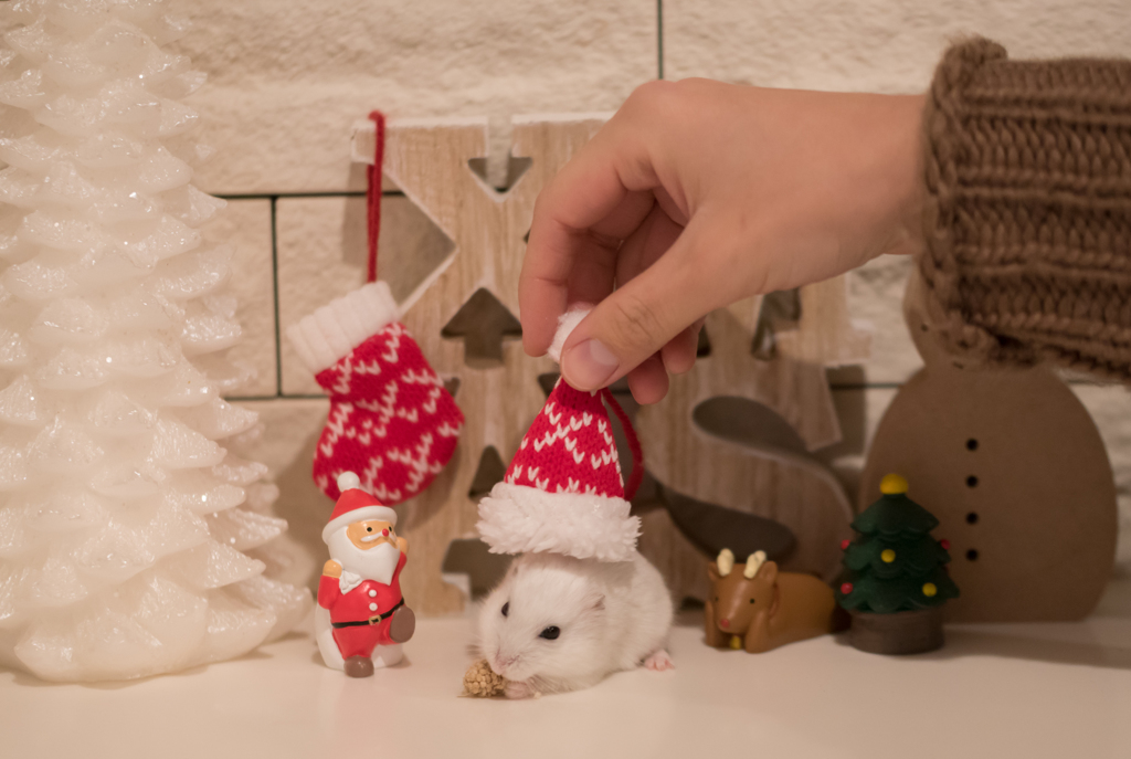 Christmas..♪