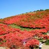 赤く染まる葛城山