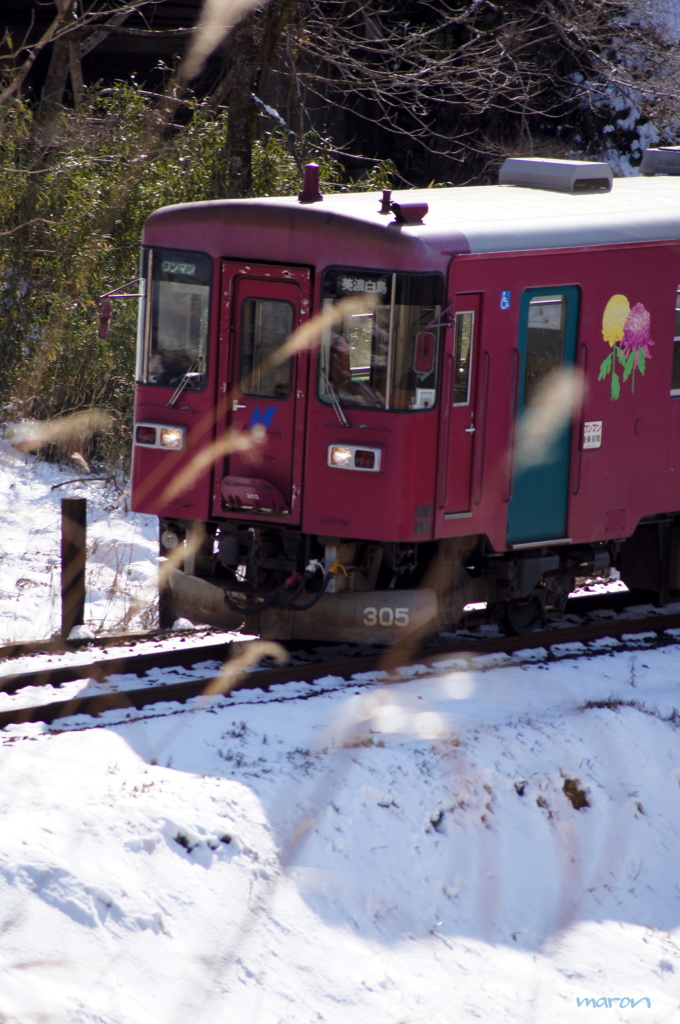 長良川鉄道＊