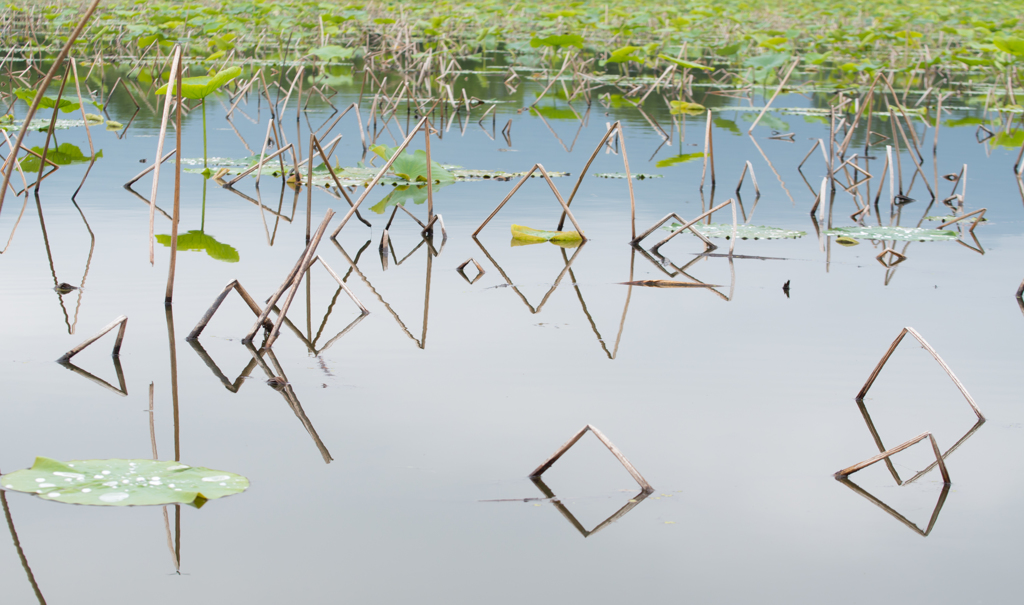 Art floating in water