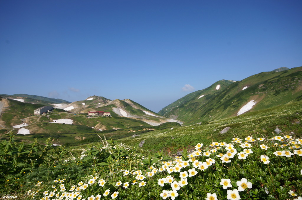 立山＊雷鳥沢