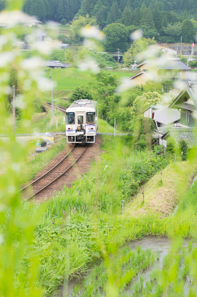 明知鉄道