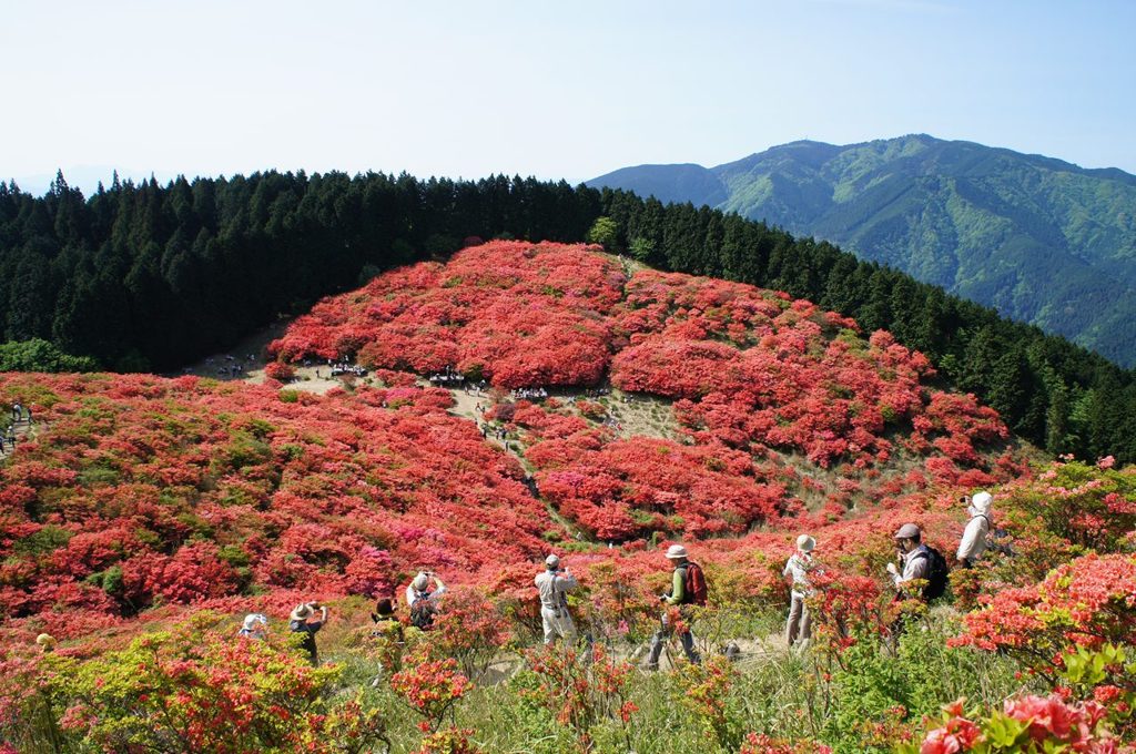 赤い山