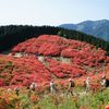 赤い山