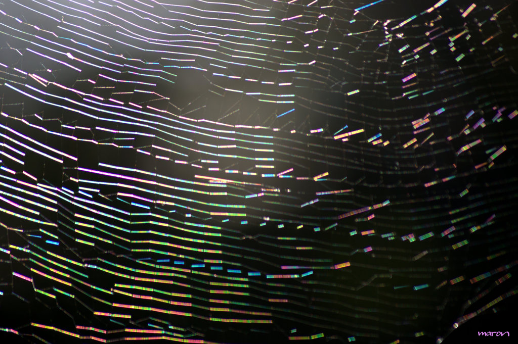 rainbow web