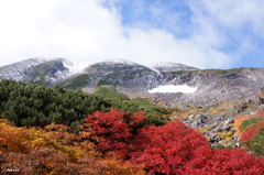 紅葉と雪化粧