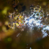 Ahead of the light