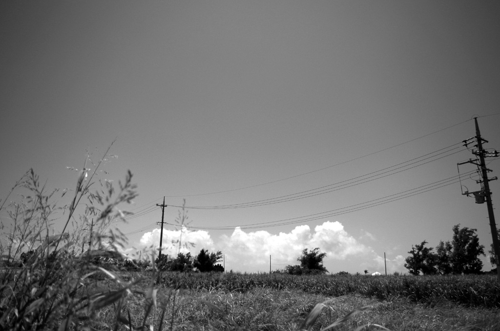 夏