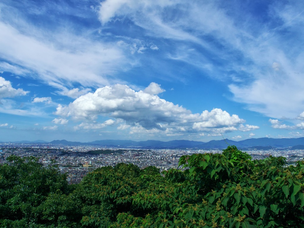 油山より