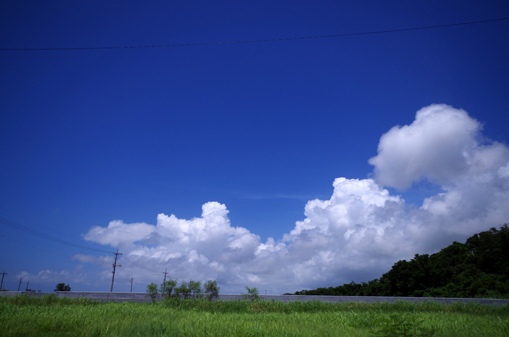 夏