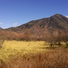 戦場ヶ原 (1)2014-11-04