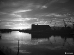 IR PHOTOGRAPHY DSCF3618