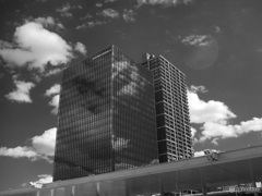 IR PHOTOGRAPHY DSCF3609