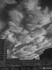 IR PHOTOGRAPHY DSCF3630