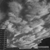 IR PHOTOGRAPHY DSCF3630
