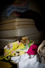 洗濯ウンちゃん