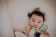 我が家のヴェートーベンです。