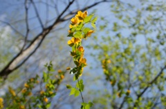 Fukushima tours #12
