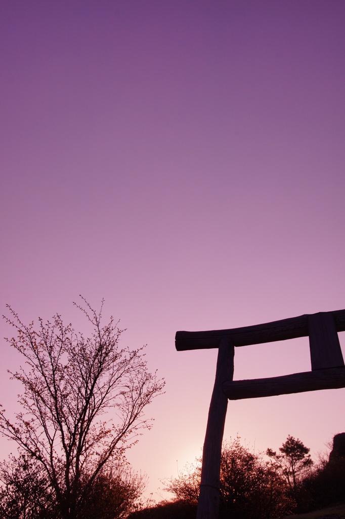 Fukushima tours #33