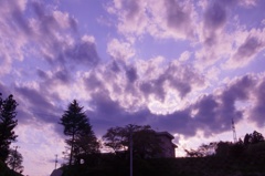 Fukushima tours #24