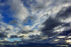Fukushima tours #6