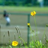 初夏の聖蹟桜ヶ丘#8