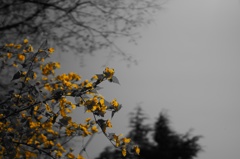 Fukushima tours #15