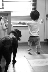 kid and dog.