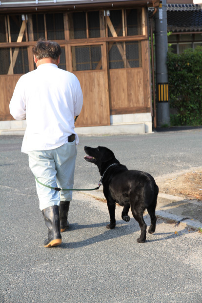 Father and Buddy.