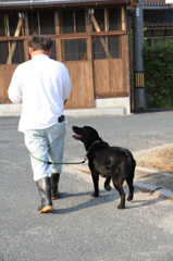 Father and Buddy.