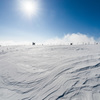 White wave