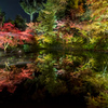 紅葉リフレクション