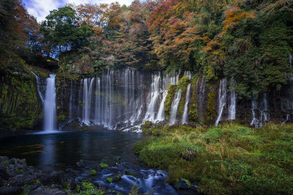 紅葉の絹糸