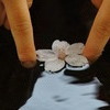 水面と花びら６