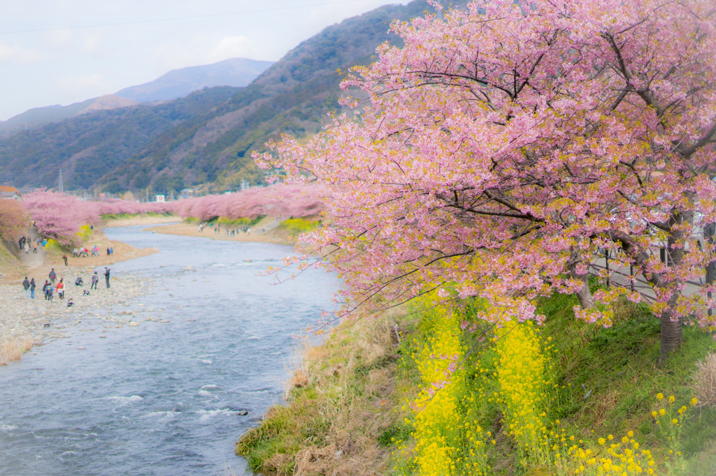 春の小川