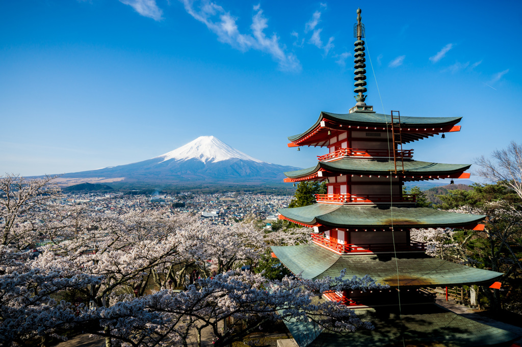 Spring in Japan !