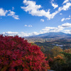 Autumn sceen