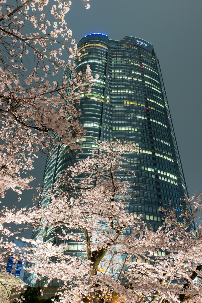 Spring in Roppongi.