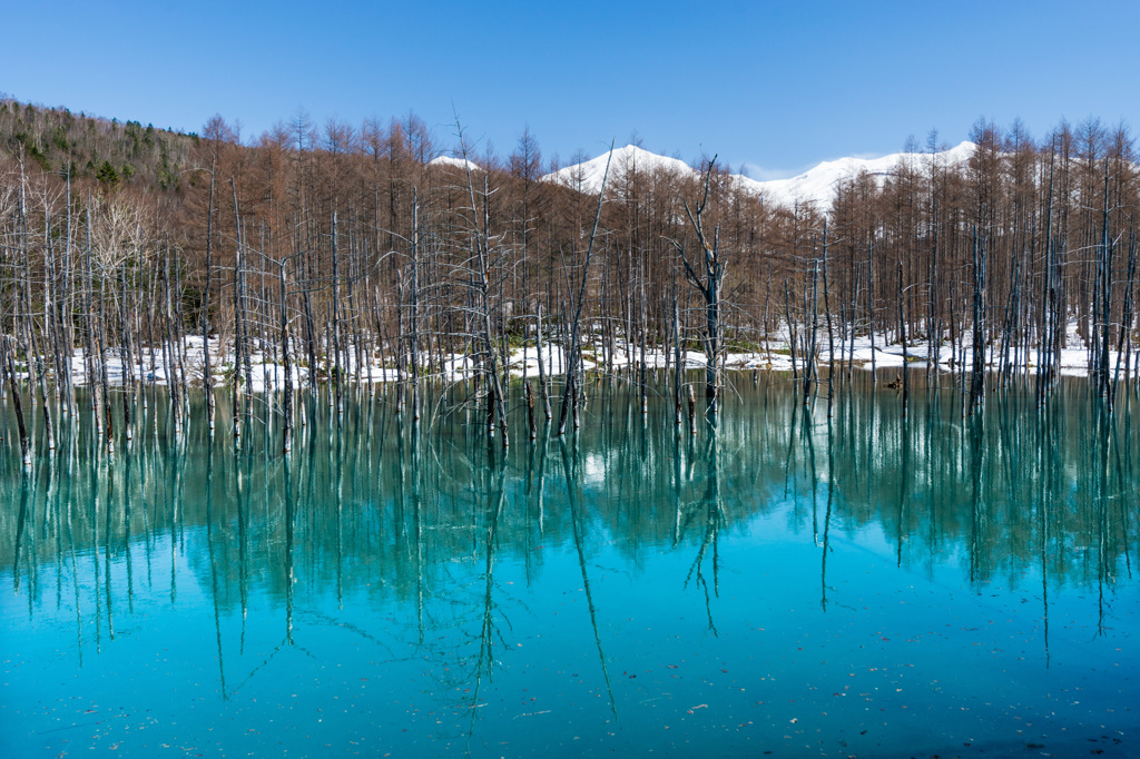 Blue Pond