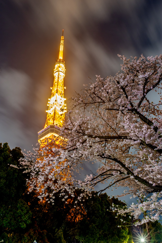 Spring in Tokyo.